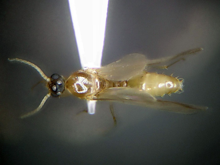 male 02 male 02