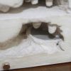 IMG 2458