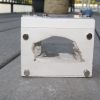 IMG 8852