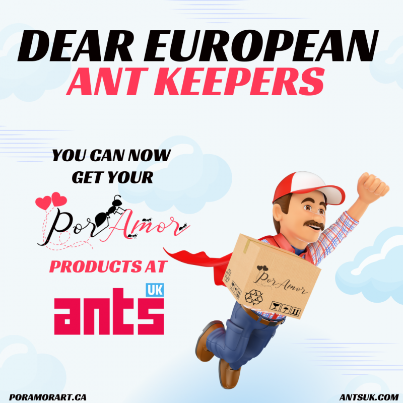 AntsUK announcement