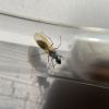 IMG 7447[1]