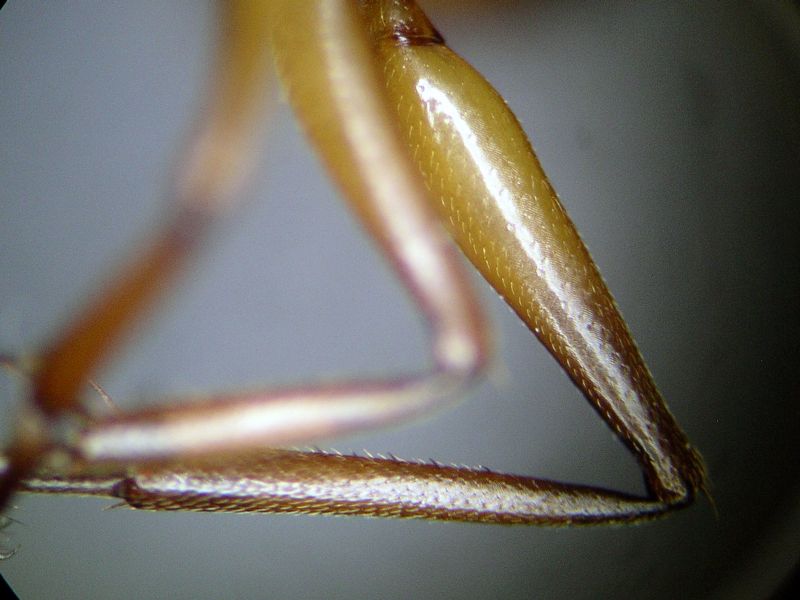 female 06 female 06
