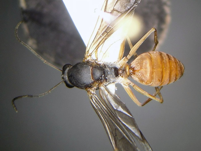 male 02 male 02