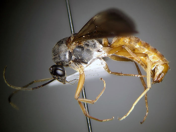 male 01 male 01