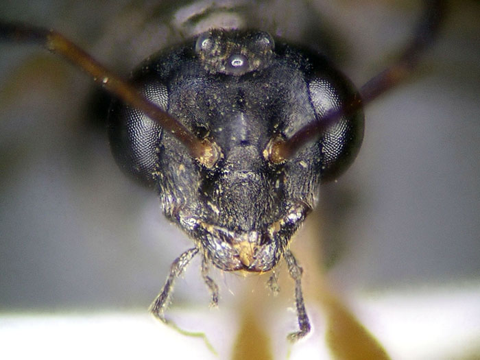 male 03 male 03