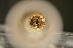 DSC 2910[1]
