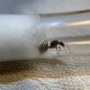 IMG 7587