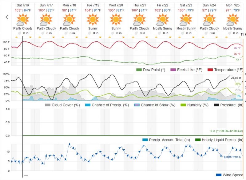 Nipton 10 Day