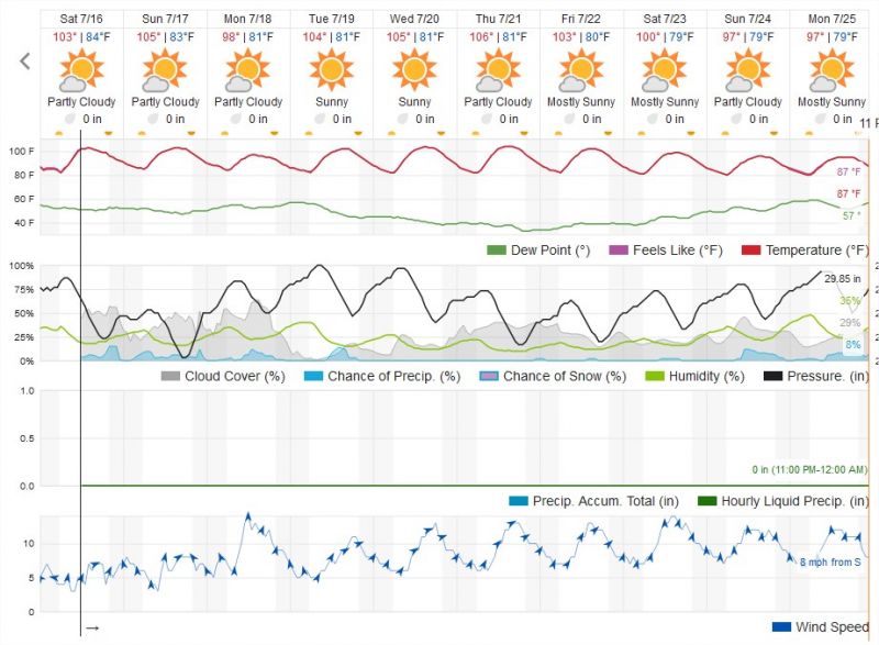 Nipton 10 Day