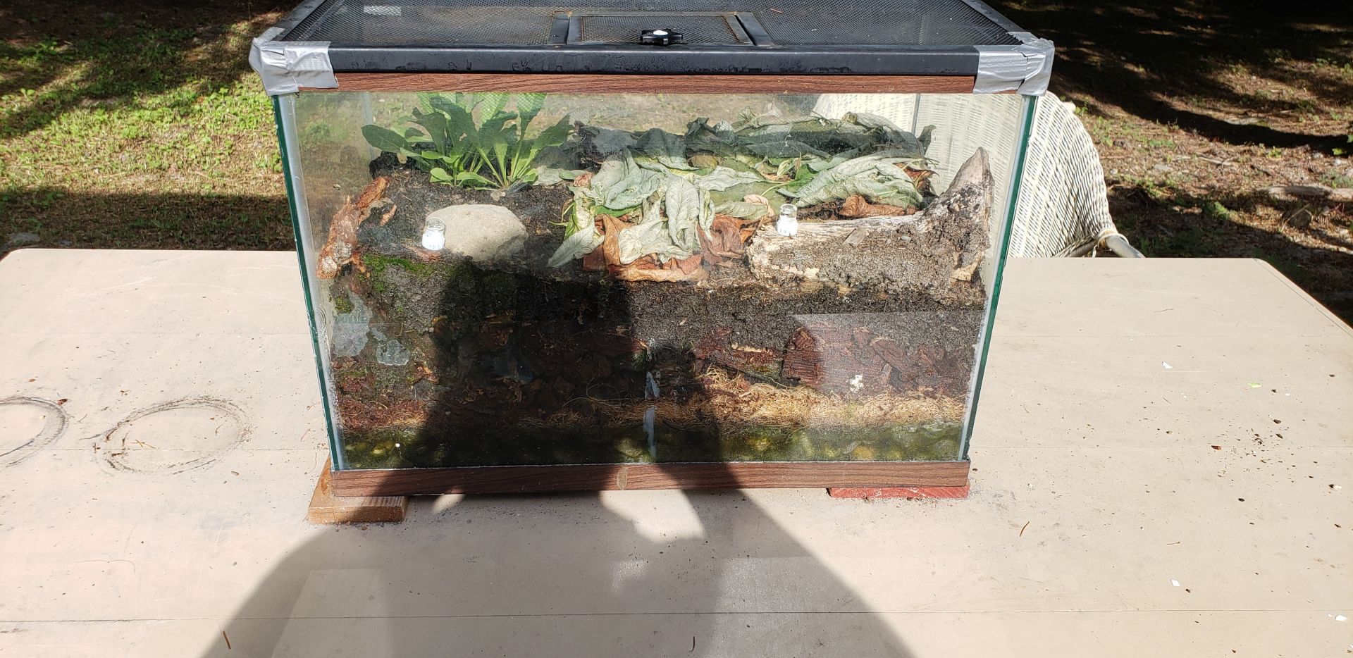 Front of terrarium