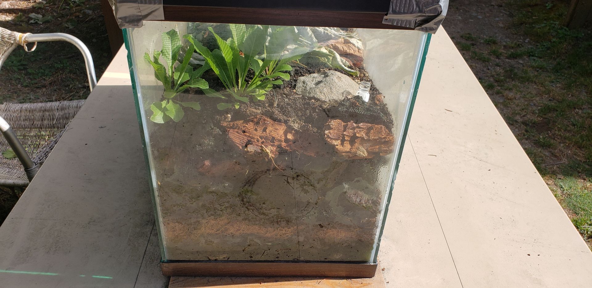 Other side of the Terrarium