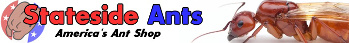 Ant banner Ad 4