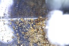 6 September 2025 6 September 2025