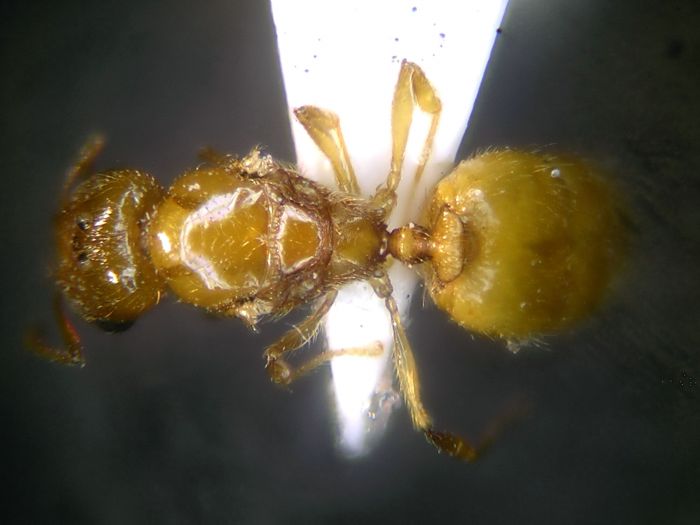female 02 female 02