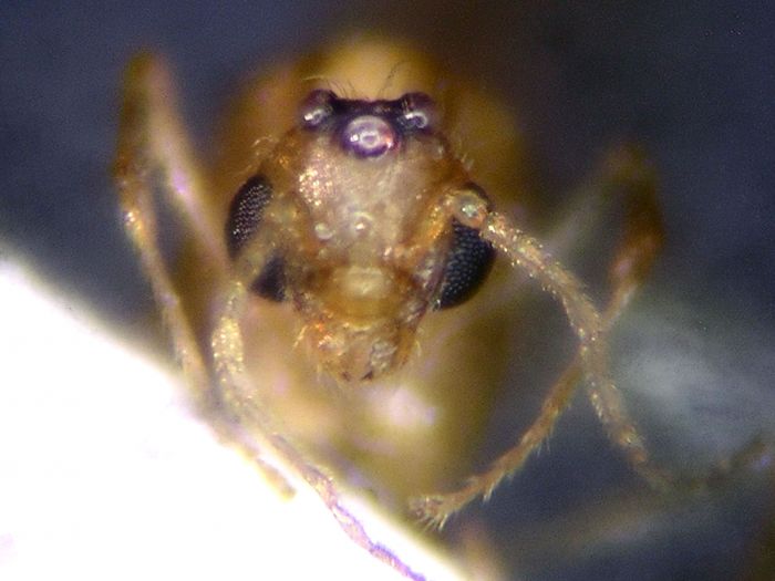 male 03 male 03