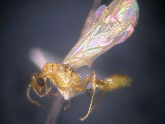 male 01 male 01