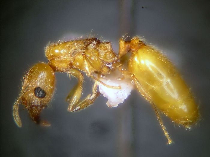 female 01 female 01