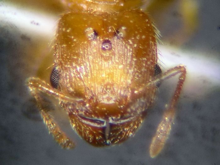 female 03 female 03