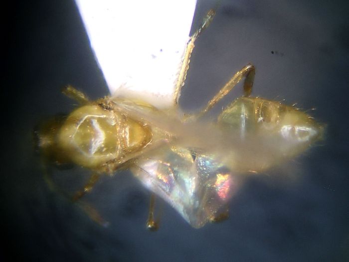 male 02 male 02