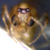 male 03