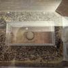 Unoccupied formicarium