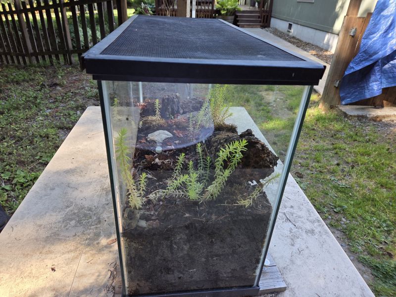 New Terrarium 2 New Terrarium 2