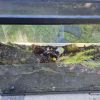 New Terrarium 3