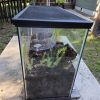 New Terrarium 2