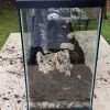 New Terrarium