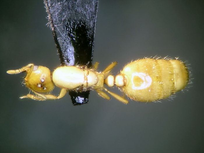 female 02