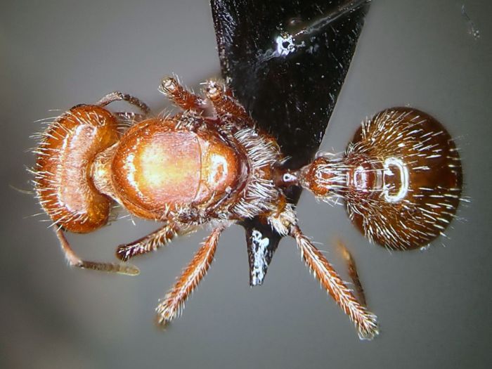 female 02 female 02