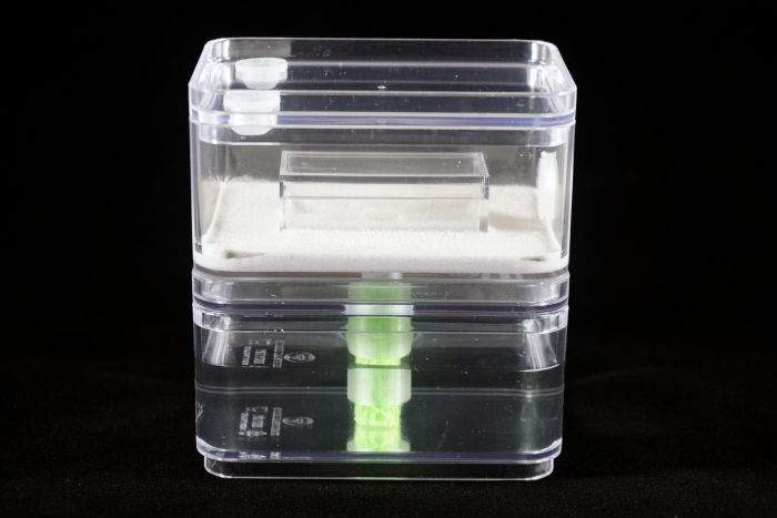 Starter Formicarium   white  side 1