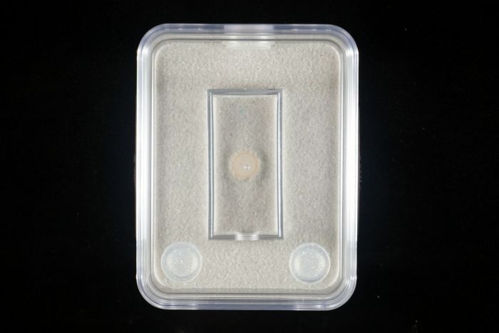 Starter Formicarium   white   Top