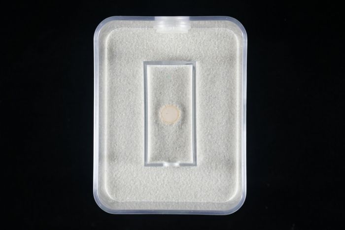 Starter Formicarium   white   Top   No Lid