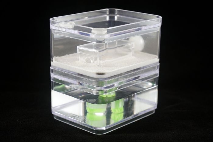 Starter Formicarium   white  corner