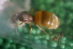 DSC05577 001 DSC05577 001