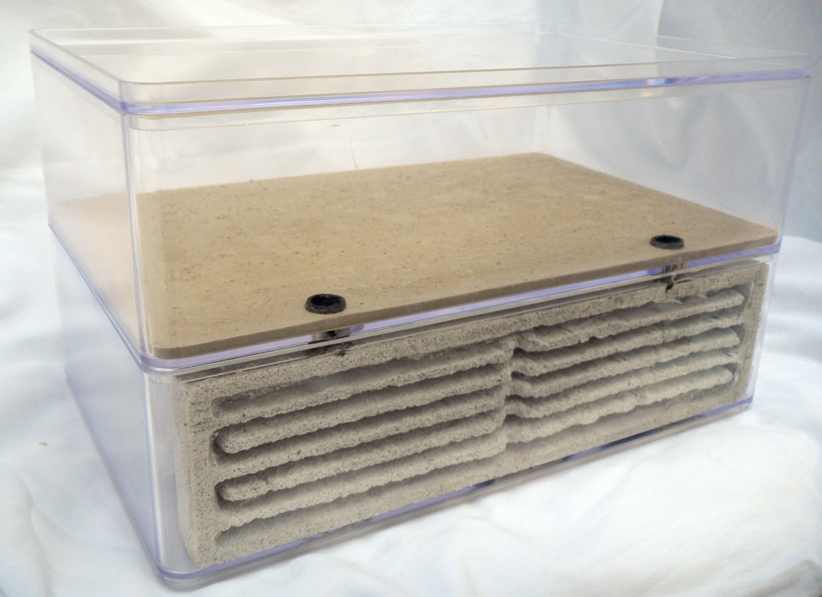 Formicarium Side