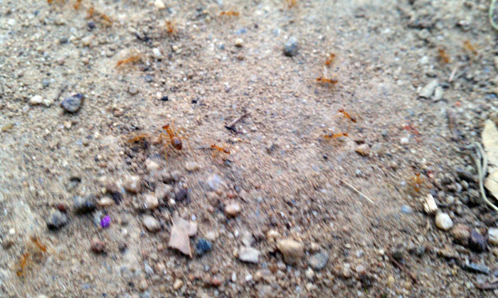 IMAG0644