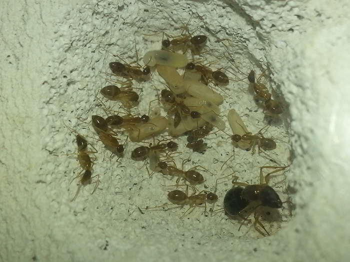 20160315 230901