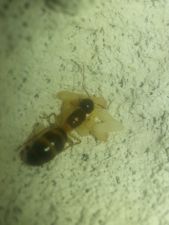 20150217 185911 20150217 185911