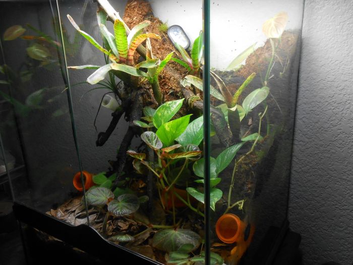 Vivarium Side-view