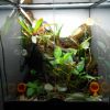 Vivarium