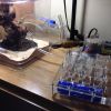 IMG 1514[1]