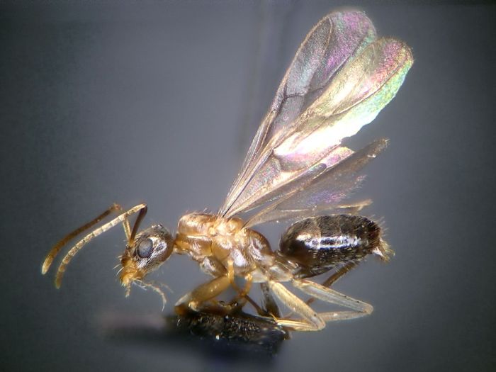 male 01 male 01