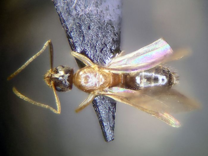 male 02 male 02