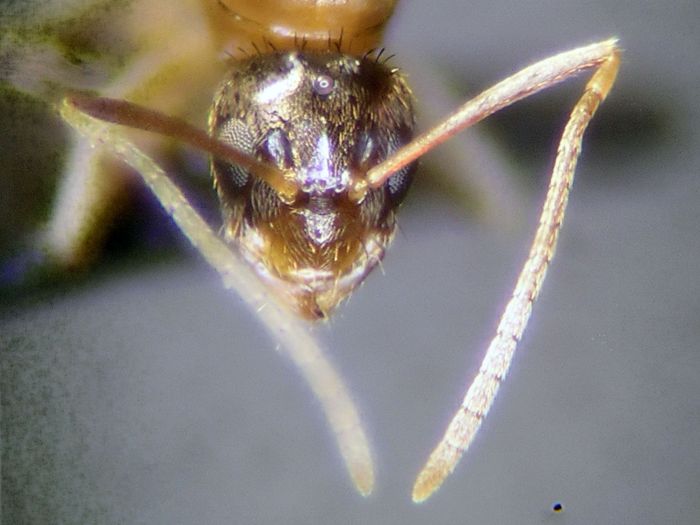 male 03 male 03