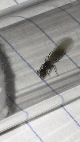 IMG 0251[1]