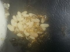 20160122 221135 20160122 221135