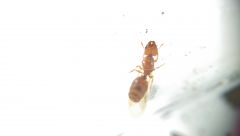 Mystery sp 1 Bottom Mystery sp 1 Bottom