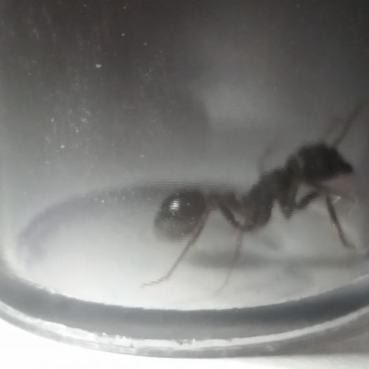 20160627 072433 20160627 072433